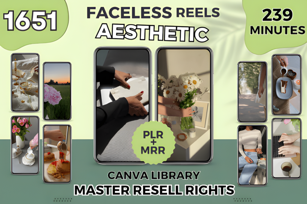 Aesthetic Instagram Reels PLR MRR Videos Graphics 102225363 1 1 580x387 1