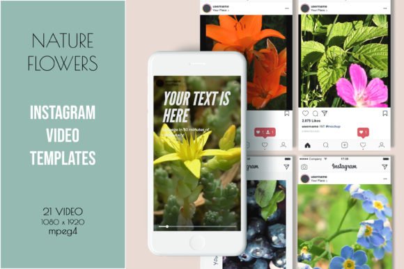 Instagram Video Templates Nature flower Graphics 11233988 1 1 580x387 1