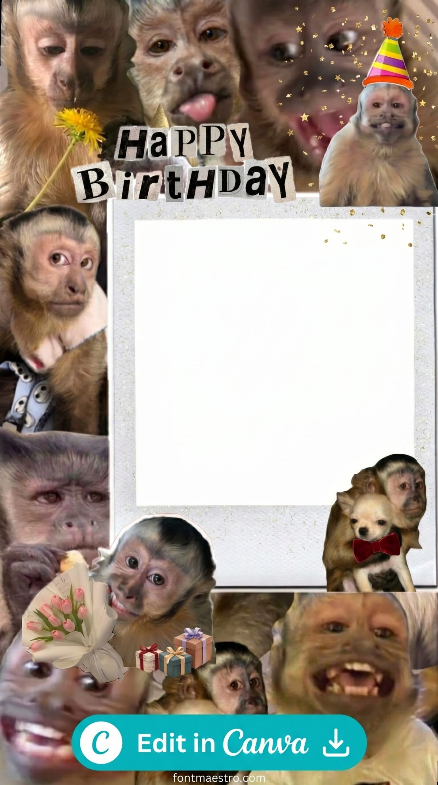 birthday collage template instagram story fun playful celebration editable