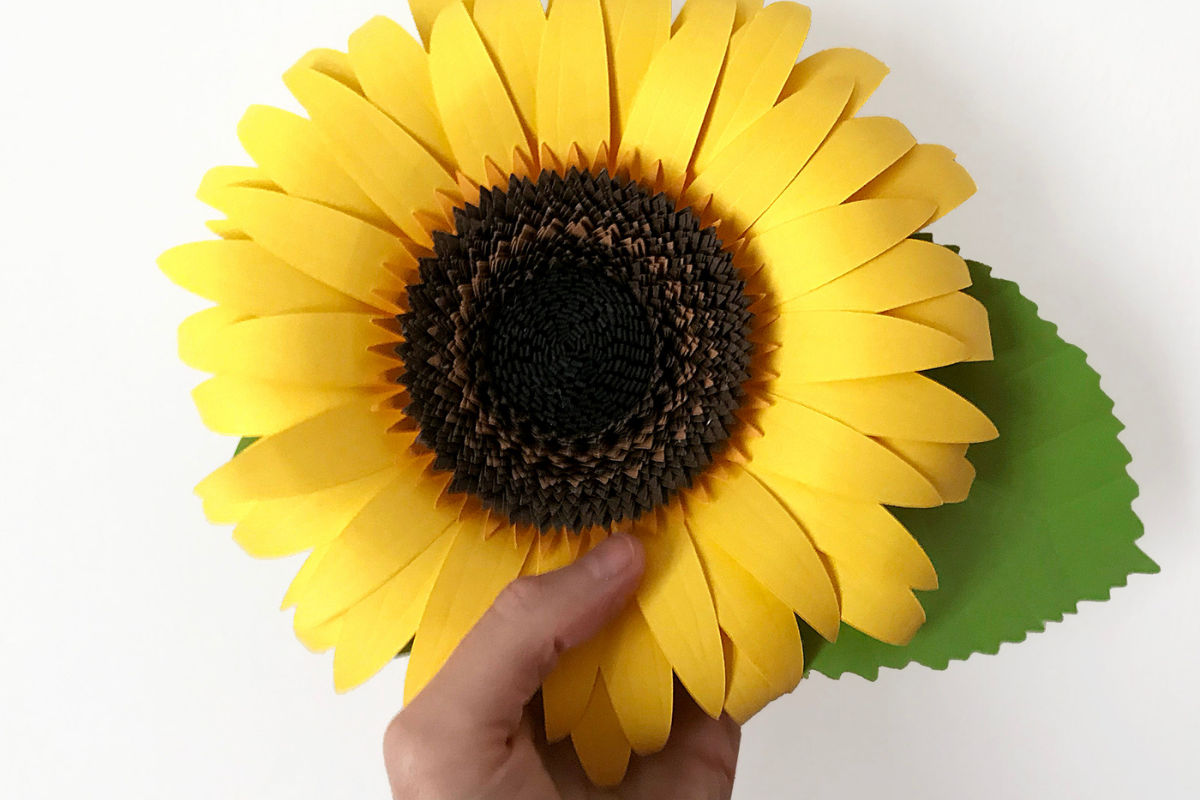 instagram story template men 3d paper sunflower canva template
