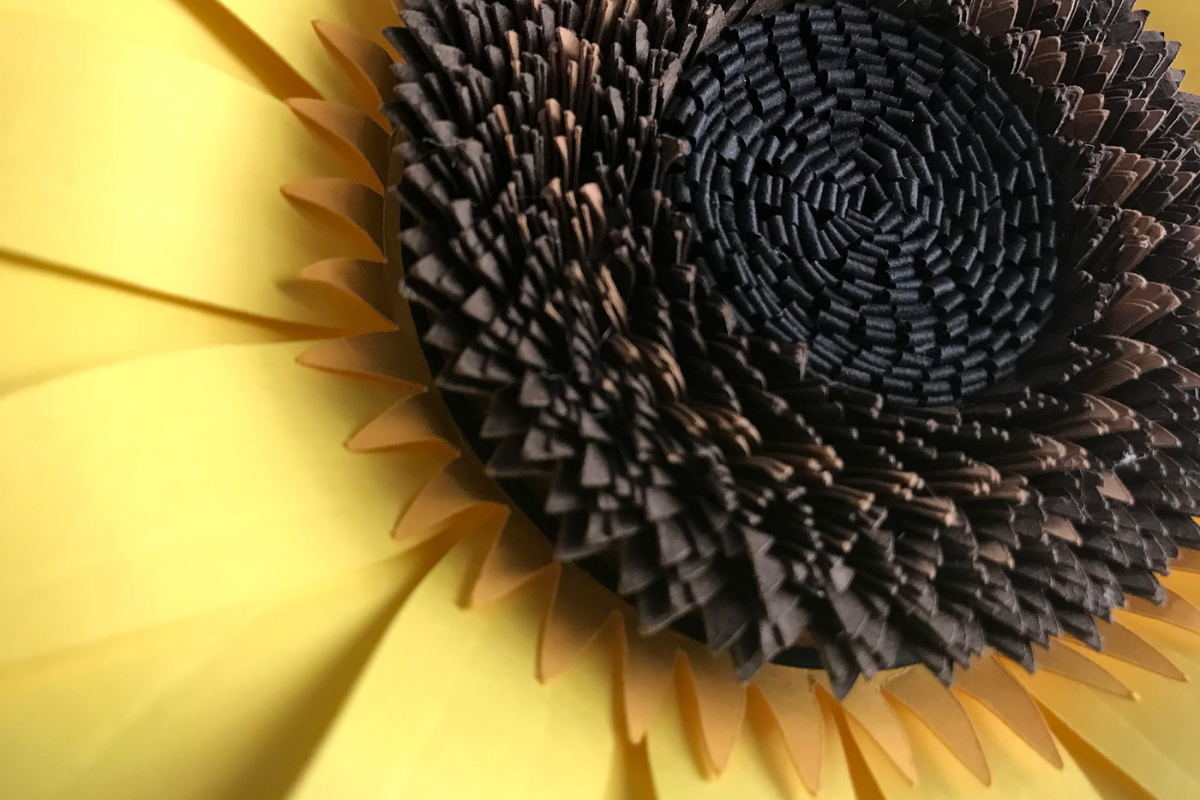 frame edit aesthetic instagram story template 3d paper sunflower canva template