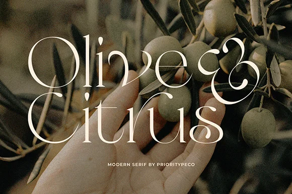 Elegant Fonts That Still Look Expensive at Small Sizes in 2026 3 Olive & Citrus on a packaging section header